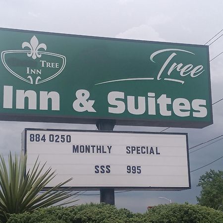 Tree Inn & Suites Albuquerque Zewnętrze zdjęcie